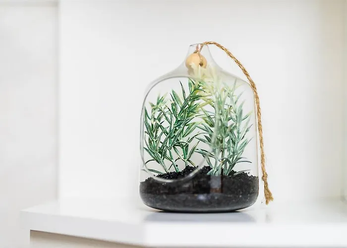 Guestready - Charming With Ocean Views *